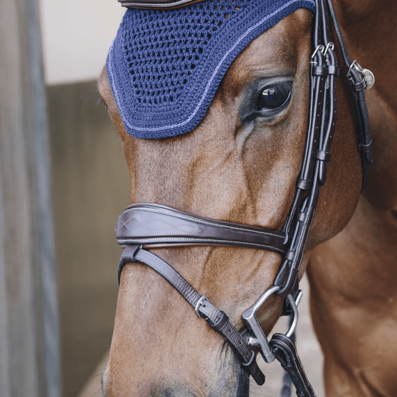 Kentucky Fly Veil Wellington Sparkling