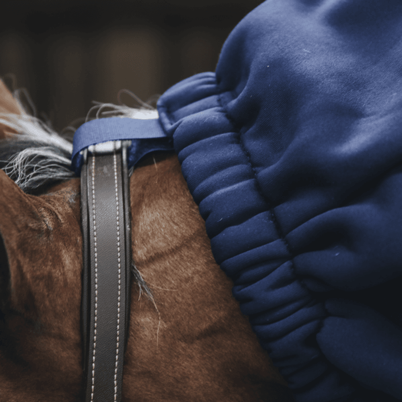 Kentucky Cooler Horse Scarf