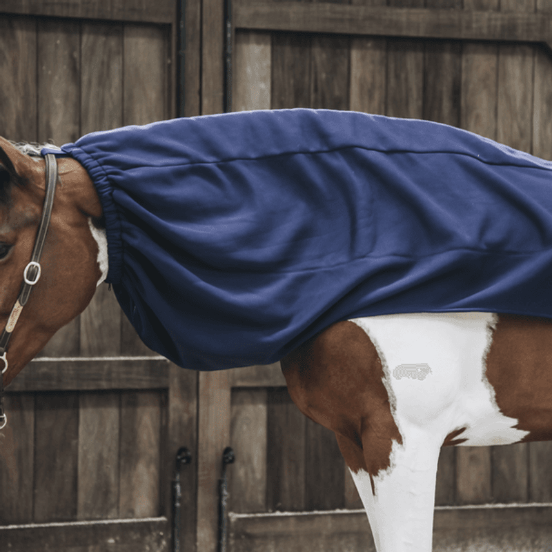 Kentucky Cooler Horse Scarf