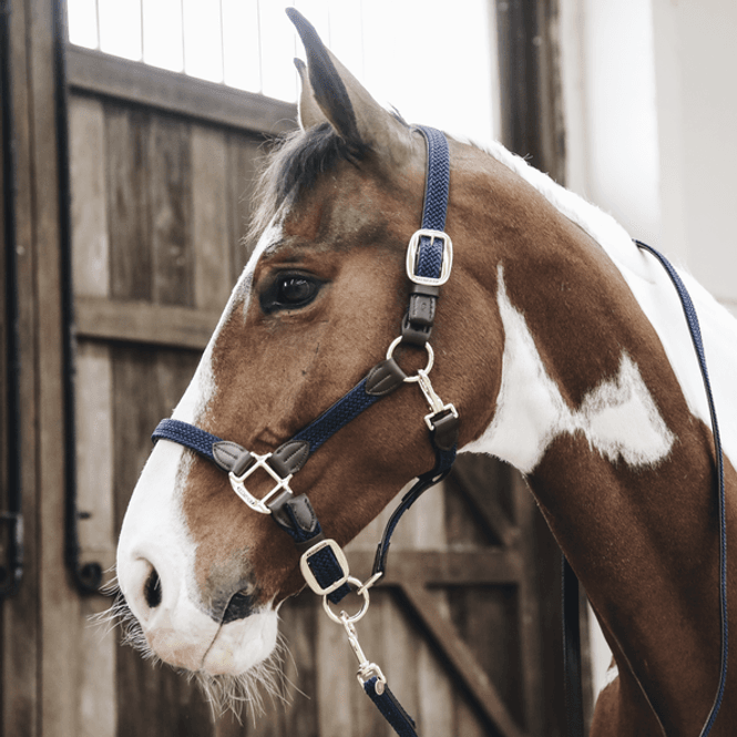 Hovedbilde Kentucky Nylon Plaited Halter
