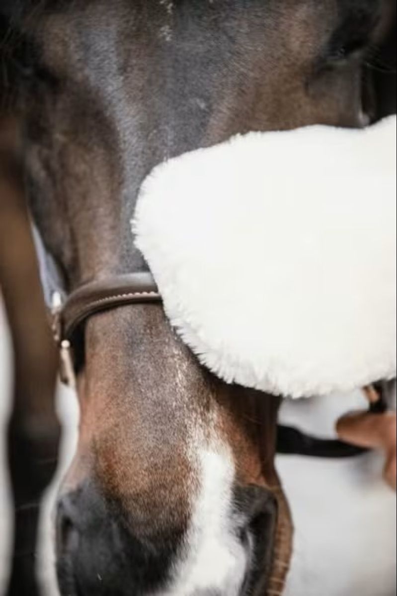 Grooming DeLuxe Sheepskin Grooming Glove