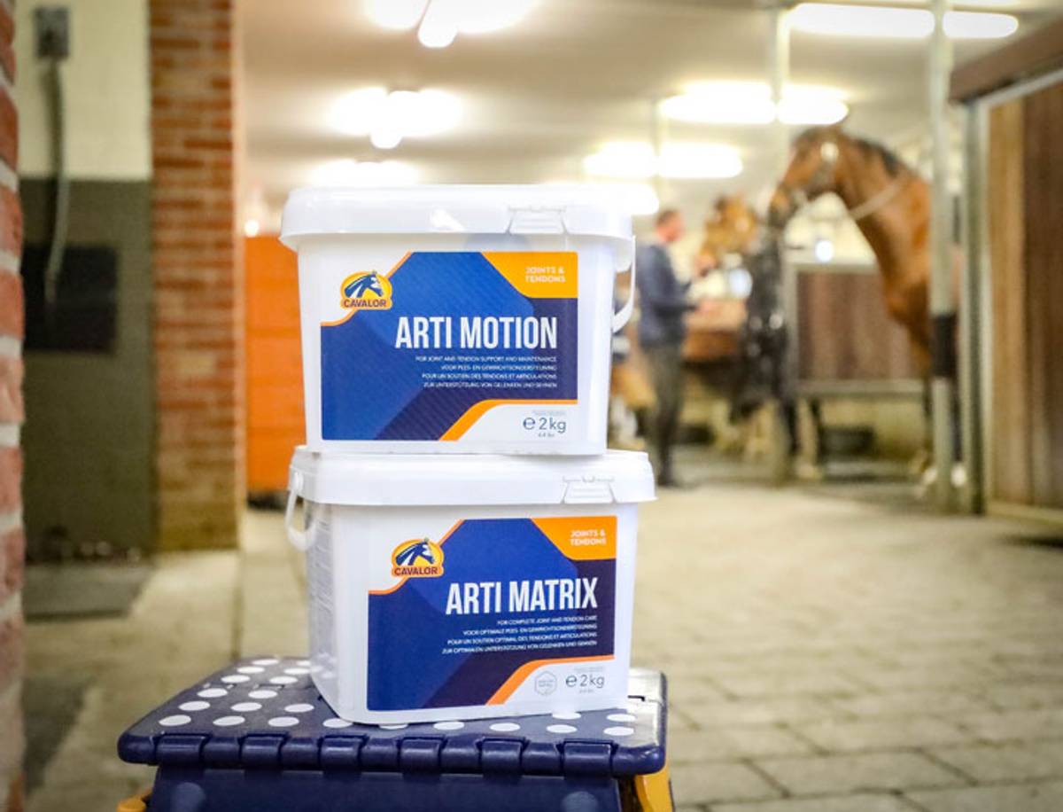 Cavalor Arti Motion 2 kg