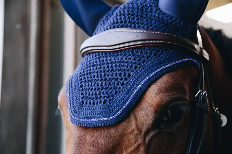Kentucky Fly Veil Wellington Sparkling