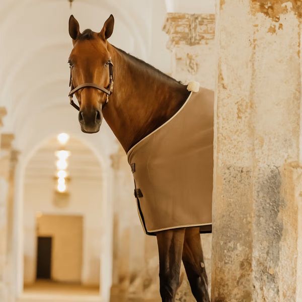 Hovedbilde Kentucky Fleece Rug Show Vegan Wool