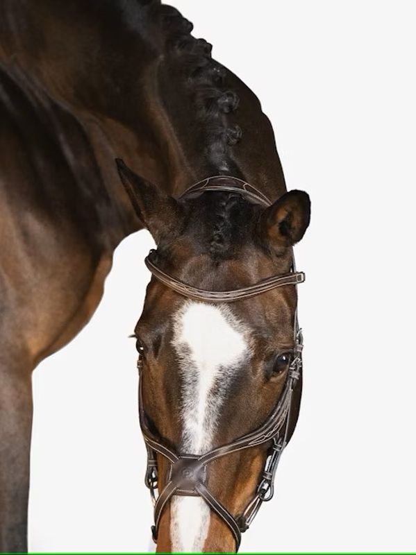 PS of Sweden Bridle Athens