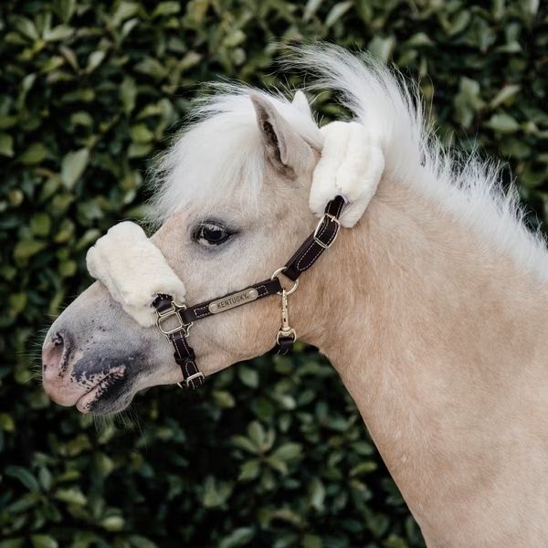 Hovedbilde Kentucky Leather Halter Sheepskin